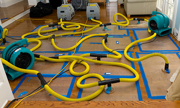 Professional Water Damage Repair technician working in Rockport, WA